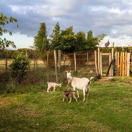 נאניוקי Mount Kenya Farm Stay מראה חיצוני תמונה